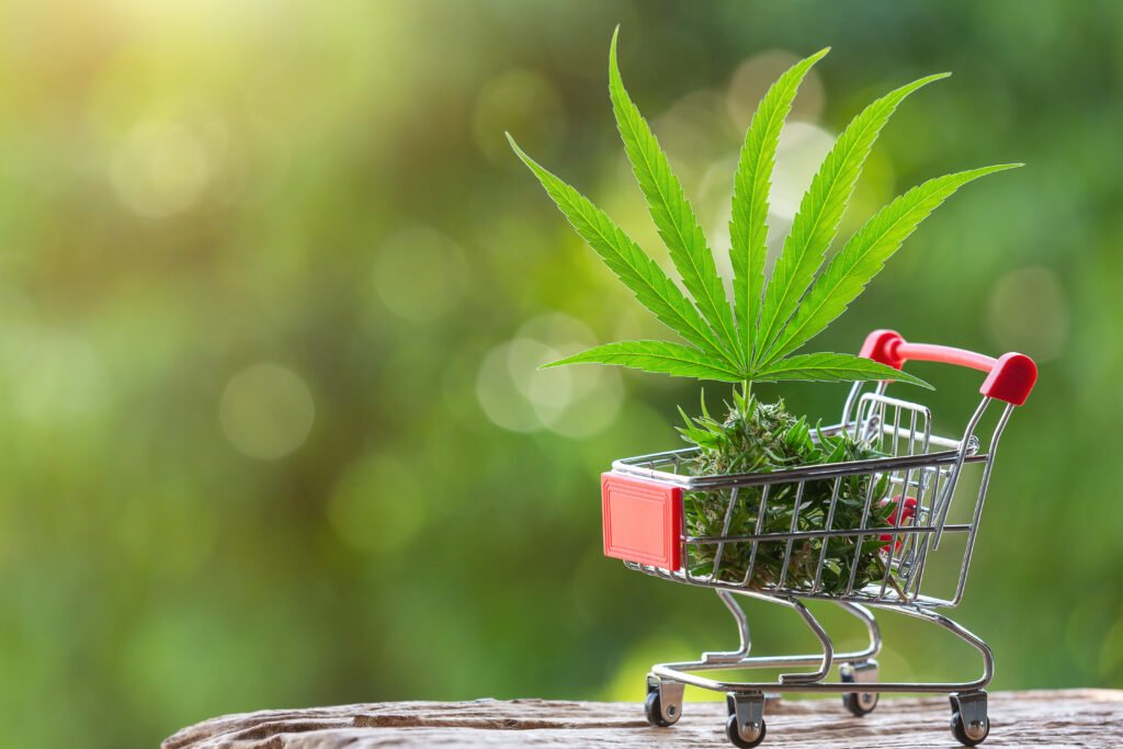 weed delivery mississauga